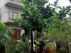 Surf Gangs Hotel