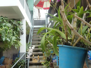 Green Park Village Guesthouse