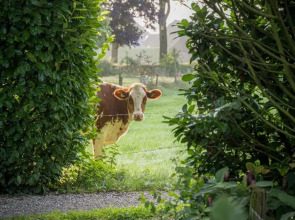 Sallandelijk Bakhuis