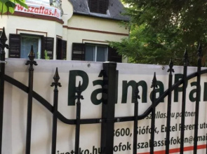 Plma Panzi