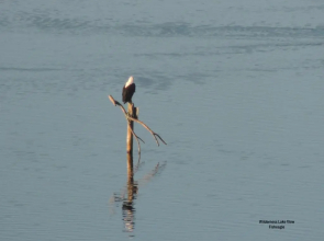 Wilderness Lake View Self-Catering