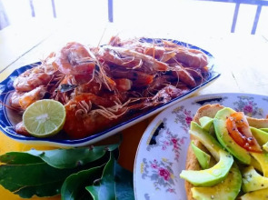 Malika's Yellow House