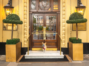 The Waldorf Hilton, London