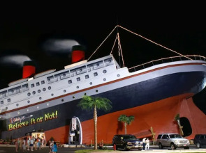 Boardwalk Resort 1000 - 1558707 - Studio Condo