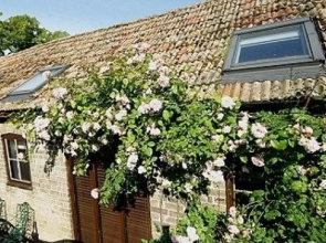 Cambridge Serviced Apartments