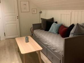 Bright and cozy apartment 1.5km from city centre