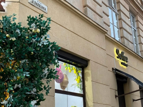 Апартаменти у Львові на вулиці Лесі Українки 19/13