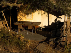 Campo Agave Luxury Tents