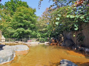 Motoyu Dairotenburo Miyamaso (Fukushima)