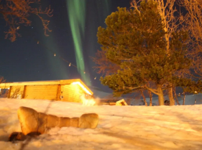 Dalvík Hostel and Cottages - Cottages
