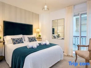 Spacious Apartment in the City Center. Plaza de las Flores