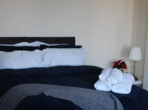 Swollows House