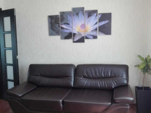 On Zaliv Apartaments