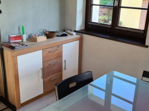 Private room with free VVO ticket & sunset view & Wi-Fi & cats in the house