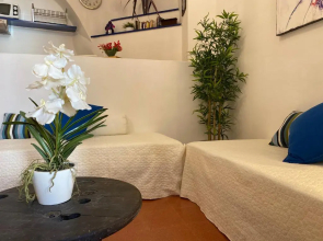 La Verde di Vernazza - Art Studio - AC&WiFi - Vernazzarentals