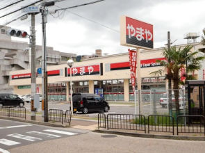 Nice Kyoto