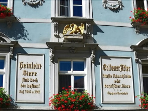 Goldener Adler