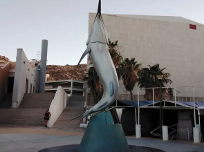 Marina Junior Suites