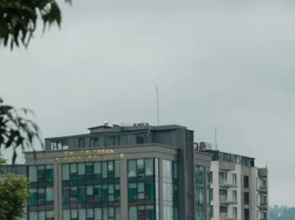 Marina Green Suit - Residence