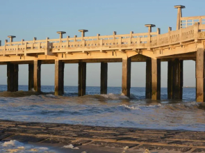 Gelijkvloers zeedijk appartement - lichtrijk en modern