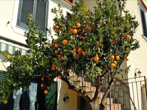 Casa Annalisa