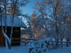 Wilderness Hotel Muotka & Igloos