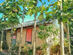 Tiddin Resort & Garden