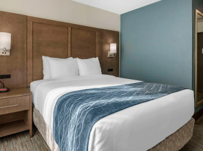 Comfort Inn & Suites Downtown Brickell-Port of Miami