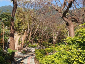 Lehuo Shoudo Moli Homestay