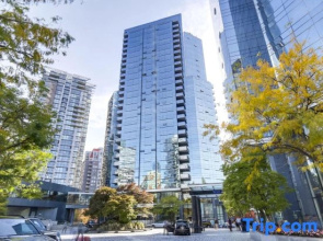 Downtown Luxury Suite w/ Private Kitchen, Laundry, Parking
