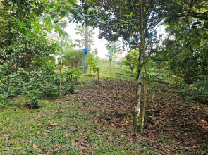 Wayra Natura