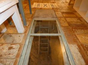 SCAPPO IN UMBRIA, nido cruxburgi