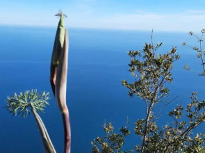 Appartamento mare e monti Two