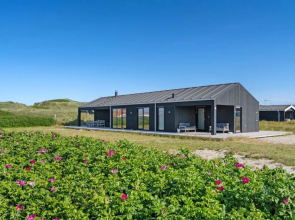"Abelone" - 50m from the sea in NW Jutland