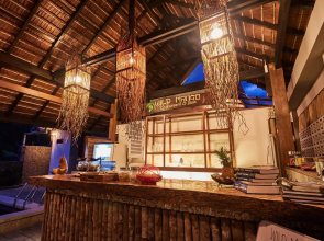 Cocotinos Lembeh Manado A Boutique Dive Lodge