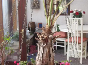 Woodshoot B&B