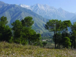 Club Mahindra Kangra Valley Resort