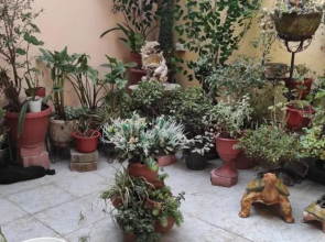 Colonial House Instinto Ecuador