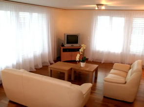 Nest - Baarerstrasse 55