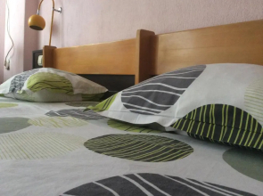 Hotel Balevurov