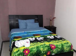 The Backpacker Hostal