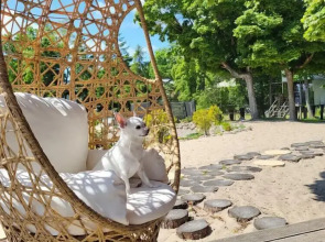 Herbals Glamping domki na drzewie Mielno