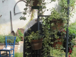Villa Emilia
