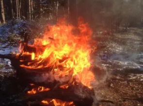 Ranta Äärelä