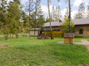 Отель «Оазис в лесу»