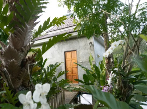 Anodard Phuket