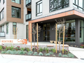 Global Luxury Suites at Mountain View