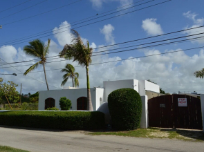 Tropical Gecko Studio