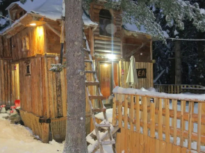 Lodge Between The Pine Trees