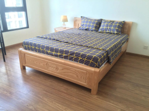 SOL- Vinhomes Times City & Park Hill